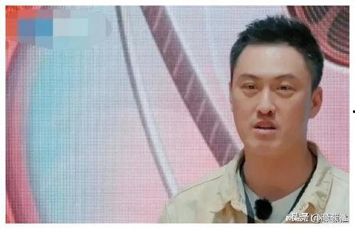 娱乐圈吃瓜爆料钱小豪,揭秘幕后真相与争议