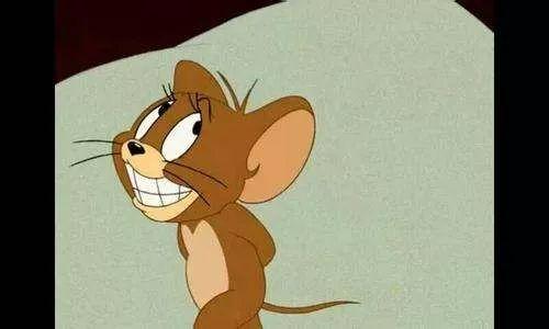 鼠鼠文学娱乐吃瓜酱